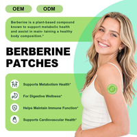Patchs transdermiques OEM personnalisés à libération prolongée de berbérine, 30 unités, à base de plantes naturelles pour le bien-être