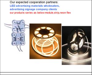 Módulo LED impermeable IP68 de 4 LED con potencia de 2 vatios y cable resistente utilizado para letras de señalización publicitaria en exteriores. - Product Image 3
