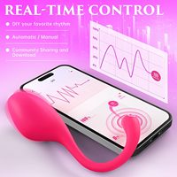 Vibrateur en silicone contrôlé par application, jouet sexuel à distance, stimulateur du point G, vibrateur portable pour femmes