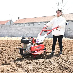 Chine Meilleur prix de gros Machine à labourer à main 5-16 chevaux Mini motoculteur Mini tracteur Mini motoculteur rotatif