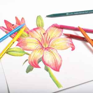 库存高品质24色水彩无木彩色铅笔，供艺术家和学生使用 - Product Image 2