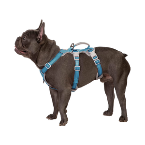 สายรัดสัตว์เลี้ยงไนลอนที่สะดวกสบายและปลอดภัย สายจูงสุนัขขนาดใหญ่พร้อมเชือกสะท้อนแสงและป้องกันการแตกหัก สำหรับการเดินทางอย่างมีสไตล์ - Product Image 4