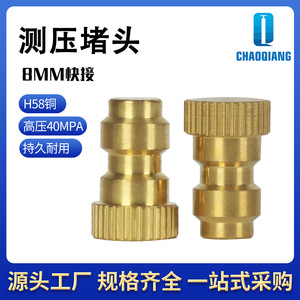 ปลั๊กทดสอบแรงดัน Chaoqiang ขนาด 8 มม. แบบเชื่อมต่อเร็ว ทำจากทองเหลือง สำหรับสายลมแรงดันสูง 0-40mpa - Product Image 5