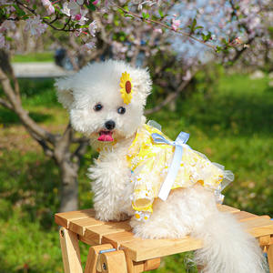 Vestidos <span class=keywords><strong>de</strong></span> Lujo para Mascotas, Estilo Princesa, para Bodas, Fiestas, Diseño Adorable, <span class=keywords><strong>Primavera</strong></span>-Verano, con Flores <span class=keywords><strong>de</strong></span> Margarita, Tipo Sling, Poliéster Hipoalergénico - Product Image 3