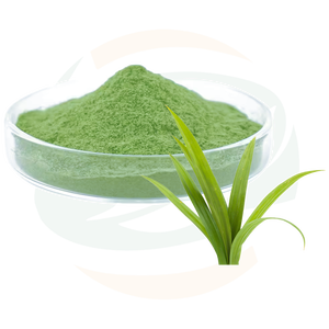مسحوق مستخلص أوراق الباندان الصيني ذو اللون الأخضر الطبيعي، ذو نسيج ناعم وجودة ثابتة للأغذية والاستخدامات النباتية - Product Image 3