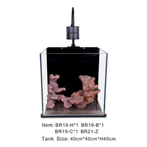 ASBR21-Z Roche Bio-Active d'Angle Écologique pour <span class=keywords><strong>Aquarium</strong></span> <span class=keywords><strong>Marin</strong></span>, Scaping de Récif, Roche Vivante pour Corail - Product Image 5