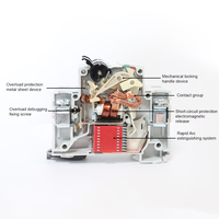 Disjoncteur Miniature MCB C65 Interrupteur à Air 1 Pôle 2 Pôles 3 Pôles 4 Pôles 2 Phases 1/2/3/4/6/10/16/20/25/32/40/50/63 Ampères AC