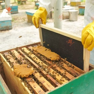 Hojas de base profunda a <span class=keywords><strong>precio</strong></span> de fábrica del mejor vendedor, base de abeja de plástico de 8,27 pulgadas para marcos de colmena de abejas, equipo de Apicultura - Product Image 3