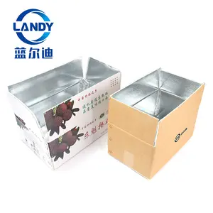 Brand Thermal insulated food cooler waterproof box Thermal shipping packaging freezer box