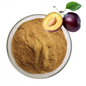 จำหน่ายผงสารสกัดจากพลัมคุณภาพสูง <span class=keywords><strong>Prunus</strong></span> Domestica - Product Image 4