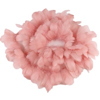 En vrac 8-12 cm Plumes D'oie Garnitures et Franges en Différentes Couleurs Avec Teint pour la Fête De Mariage Artisanat Vêtements Festival Décorations