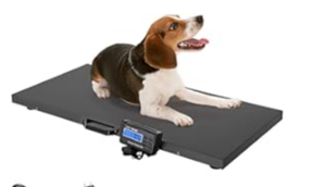 <span class=keywords><strong>500</strong></span> किलोग्राम 1100lbs अधिकतम. क्षमता 0.1 किलो सटीकता बड़े प्लेटफॉर्म वजन पशु वजन के लिए पशु पैमाने - Product Image 2