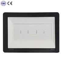 Lumière d'inondation LED IP65 à économie d'énergie 50W SMD haute puissance étanche pour jardin de sécurité carré de terrain de football