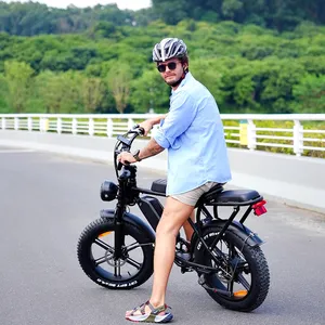 Double batteries electric fat tire bike 1000w China manufacturer 20*4.0 inch 48v 30ah removable battery electric bicycle fatbike