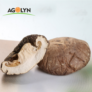 Mycélium de champignon Shiitake séché, <span class=keywords><strong>prix</strong></span> avantageux, fabriqué en Chine - Product Image 2