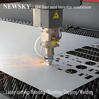 Pièces de châssis d'amplificateur audio Newsky sur mesure en tôle découpée au laser, pliée, estampée, taraudée et rivetée