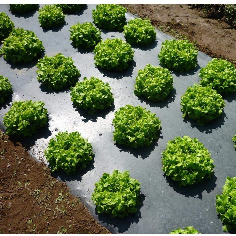 Black plastic agriculture mulching plastic film