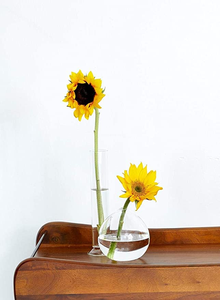 <span class=keywords><strong>Vase</strong></span> à fleurs en verre <span class=keywords><strong>rond</strong></span> transparent de petite taille, sur mesure et pas cher - Product Image 3