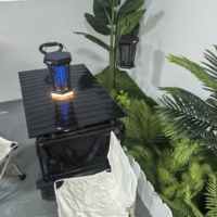 Solaire Bug Zapper Extérieur Étanche, Portable Antiparasitaire Électrique Mosquito Zapper Killer avec Panneau Capteur, Rechargeable Insecte