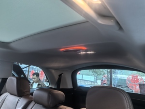 Actualización de la Rejilla del Altavoz del Techo del GLS450 - Product Image 1