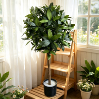 Petit arbre artificiel en laurier sauvage pour décoration de mariage, plante artificielle sur pied pour intérieur/extérieur, hôtel, maison