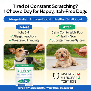 Friandises à mâcher séchées à l'air <span class=keywords><strong>pour</strong></span> chiens allergiques - 120 unités - Supplément naturel anti-démangeaisons avec <span class=keywords><strong>spiruline</strong></span> et huile d'algues <span class=keywords><strong>pour</strong></span> peaux irritées - Product Image 4