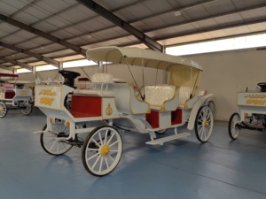 Vehículo Eléctrico de Lujo Europeo 2024, Tipo Carruaje Real, de Fibra de Vidrio, para Turismo y Recreación al Aire Libre - Product Image 3