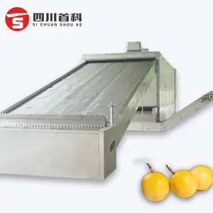 Shouchuang High Quality Automatic Fruit Dry Food Machine Apple Kiwi Pineapples Avocados Citrus Chips Drying Machine