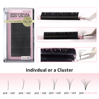 Extensions de cils Easy Fan Wimpern Pestaas 0.05mm 0.07mm Courbure C D, faites à la main, auto-éventailables en 1 seconde, volume premium