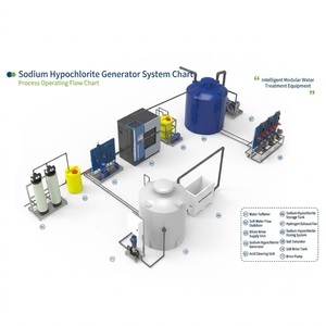 Générateur automatique d'hypochlorite de sodium à haute concentration, pompe en acier inoxydable SS304, système de chlore au <span class=keywords><strong>sel</strong></span> pour <span class=keywords><strong>piscine</strong></span> - Product Image 4