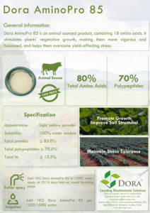 Alta Qualidade Baixo Preço Orgânico Enzimático Perfeito Aminoácido 85 Nutriente Vegetal Em Pó Fertilizante Hormônio do Enraizamento na Agricultura - Product Image 3