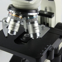 Factory Wholesale Microscopes Digital Biological Microscope Trinocular Head Electronic Microscopes for Lab