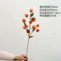 Kunstbloemen, Lantaarnvruchten, Zure bessen, Modelkamers Woondecoratie, Bruidsfotografie, Scène-arrangement