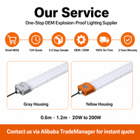 Tube LED antidéflagrant T8 homologué ATEX IP66 en verre, NEMA 4, dimmable, pour éclairage de plafond en zone 2 des ateliers pétrochimiques