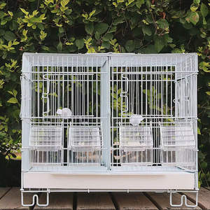 Vente en gros de cages à oiseaux de luxe de haute qualité, grande cage à oiseaux durable pour une utilisation en intérieur et en extérieur - Product Image 3