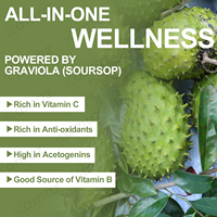 Amaz Meilleures ventes : Gouttes amères de Graviola (Soursop) multivitaminées, boisson immunitaire, suppléments à base de plantes biologiques, Gouttes liquides de Graviola (Soursop)
