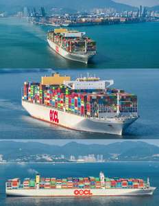 خدمات الشحن من الباب إلى الباب عبر DHL LCL+Express والشحن البحري من الصين إلى أوروبا والولايات المتحدة مع التأمين ودعم على مدار الساعة - Product Image 5