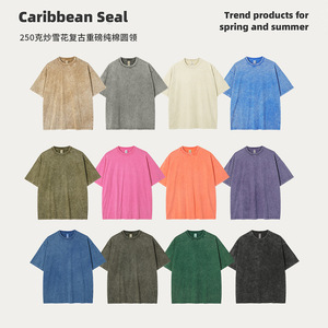 Washed Distressed Crew <b>Neck</b> Short Sleeve T-Shirt Solid Color Pure Cotton Women's Leisure Wear - Product Image 4