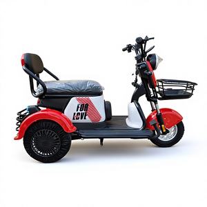 Tricycle électrique pour passagers 3 places à une vitesse E-Rickshaw avec sièges confortables Moteur 600W pour le transport touristique en parc - Product Image 1