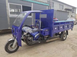 <span class=keywords><strong>มอเตอร์ไซค์</strong></span>3ล้อ250cc กระจกหน้าและ<span class=keywords><strong>หลังคา</strong></span>สำหรับผู้โดยสารจากโรงงานจีน - Product Image 4