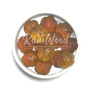 Rainwood OEM Supplement Antioxidant Private Labels Antioxidant Gummies