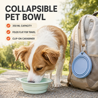 Bol pour chien en silicone pliable, portable, pour voyage, nourriture et eau, avec mousqueton, pour extérieur