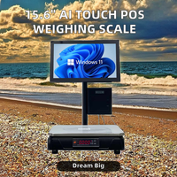 15.6 All-in-one POS weegschaal pc kassa weegschaal roestvrijstalen weegpan POS systeem weegschaal voor verse producten, fruit en groenten