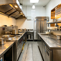 Solutions pour cuisines commerciales pour restaurants, équipements commerciaux pour cuisines, équipements de cuisine en acier inoxydable