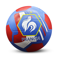 Ballon de football GOLTY GSR-1012A Taille 5 Poids 400-420G et circonférence 680-700MM Matériel en caoutchouc Durable Imperméable