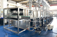 Complete Automatische Productielijn Voor Mango-Sinaasappelvruchtensap-Botteling