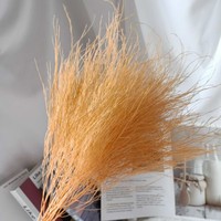 Eeuwige Bloem Steengras Dromerig Gras Lang Haar Gras Ins Stijl Bruiloft Accessoires Huisdecoratie
