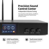 Sistem Amplifier Karaoke Metal Profesional 400W dengan Dua Mikrofon Nirkabel untuk ARC KS400 oleh InAndOn