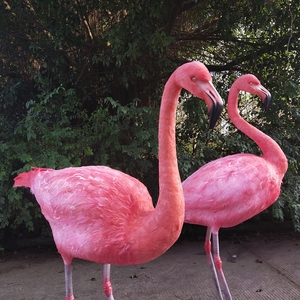 Parque temático simulación animales modelo flamenco - Product Image 4