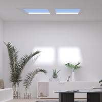 Panneau LED économe en énergie pour l'espace de sommeil, effet de lumière du ciel clair pour le bureau, corps en acrylique, ciel bleu artificiel